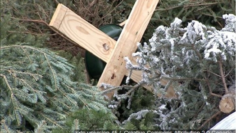 Donated Christmas Trees To Be Used For Fish Habitat In Lakes, Rivers WCHS