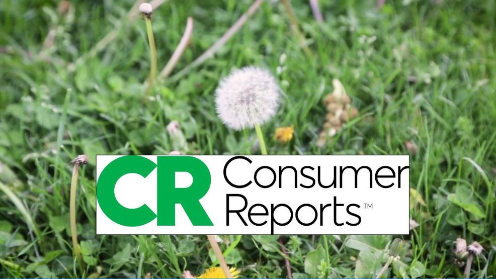 Consumer Reports: Stop seasonal allergies at home | WLOS