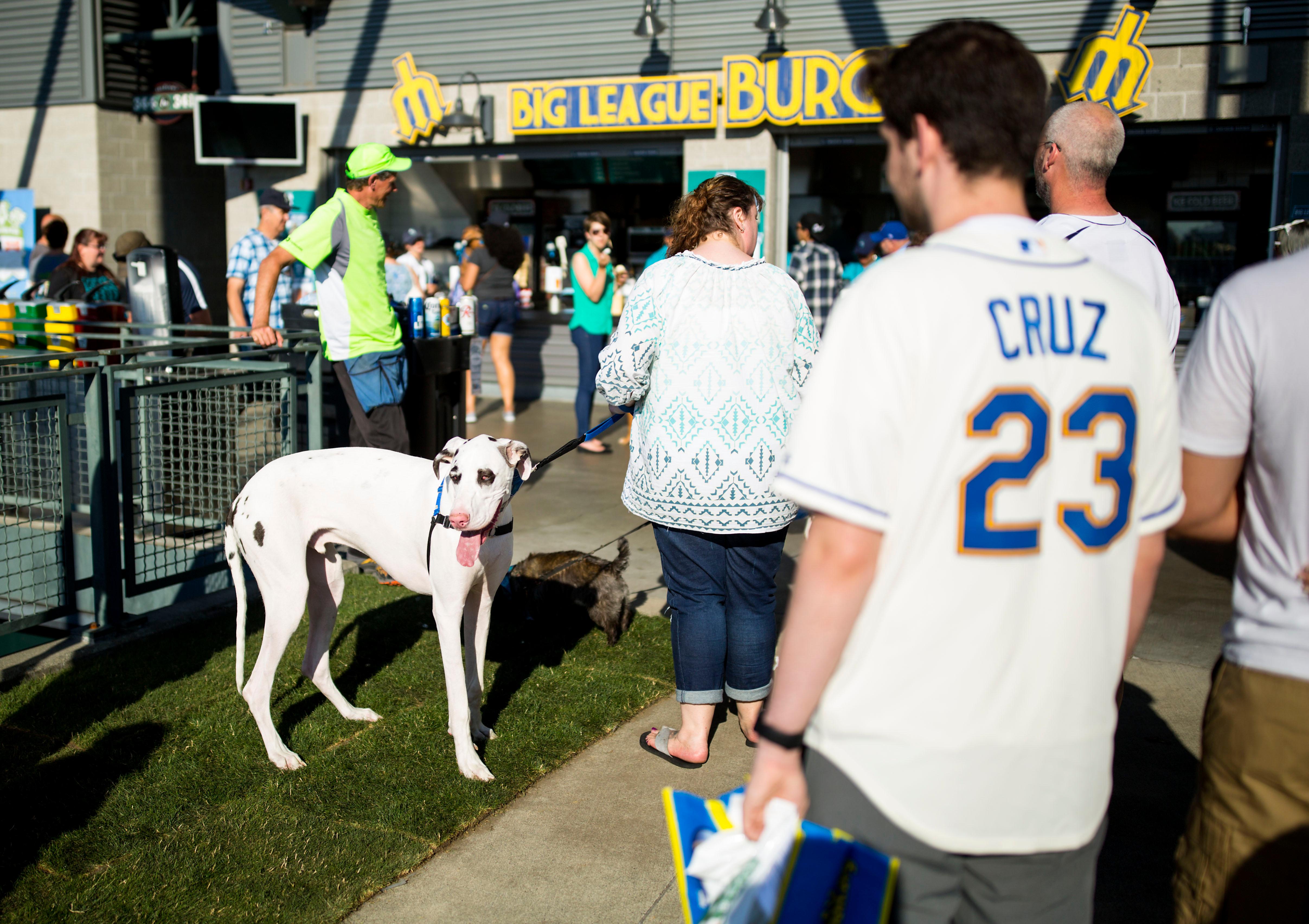 Photos Mariners 'Bark at the Park' is the doggone cutest Seattle Refined