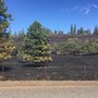 Level 3 (GO) evacuation orders in place due to Memaloose fire near Mosier, Oregon