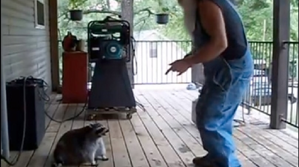 130731_hillbilly_coon.jpg