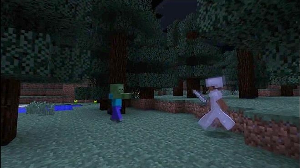 130125_minecraft_still_660.jpg_BIM.jpg