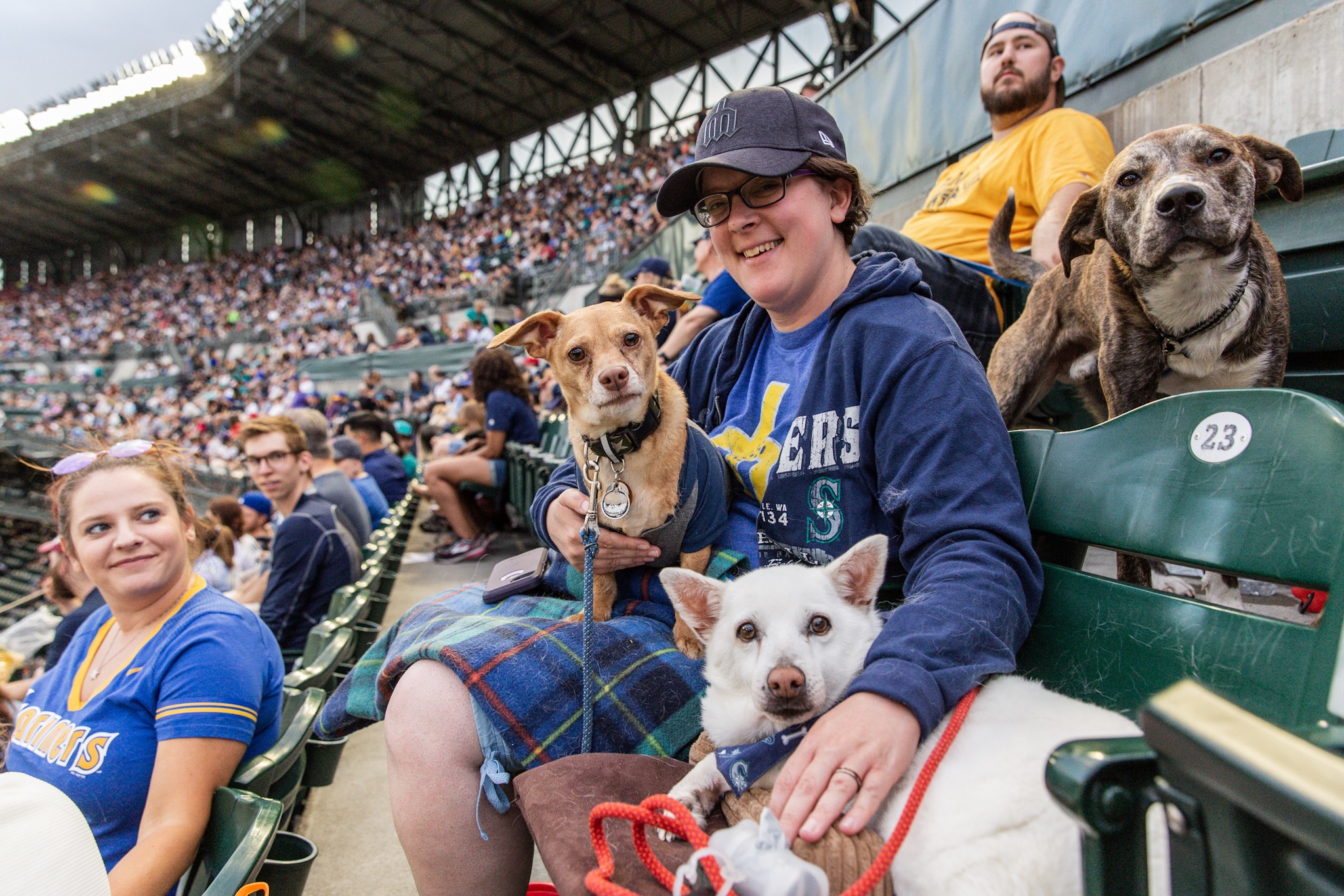 Photos One park, SO many barks! Safeco Field goes to the dogs at 'Bark