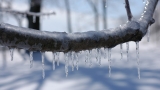 Ice storm on tap for Portland and the Gorge Tuesday morning