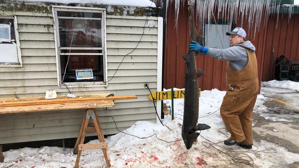 Calumet Harbor Sturgeon Spearing Registration Station Busy On Lake