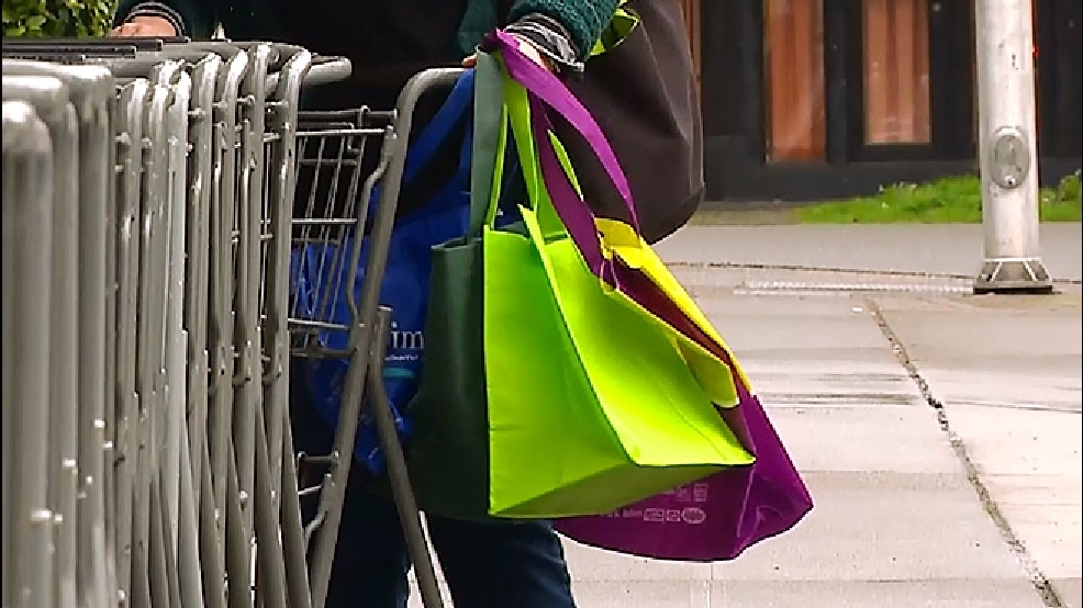 130228_reusable_bags_lg.jpg