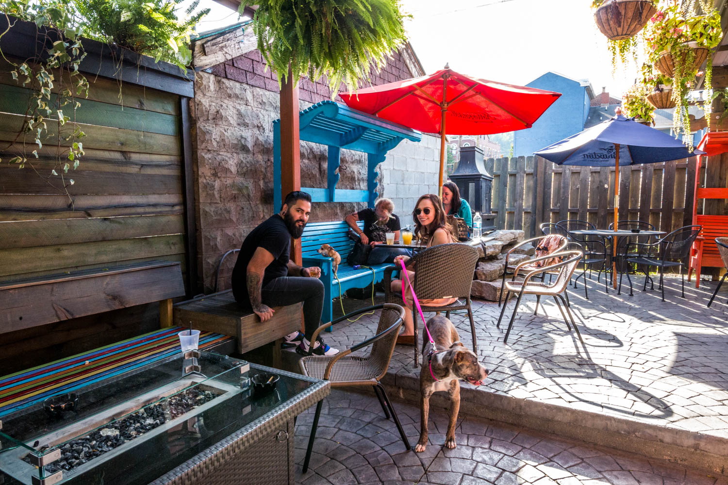 10 DogFriendly Bars That Have Us Sitting & Staying For Happy Hour