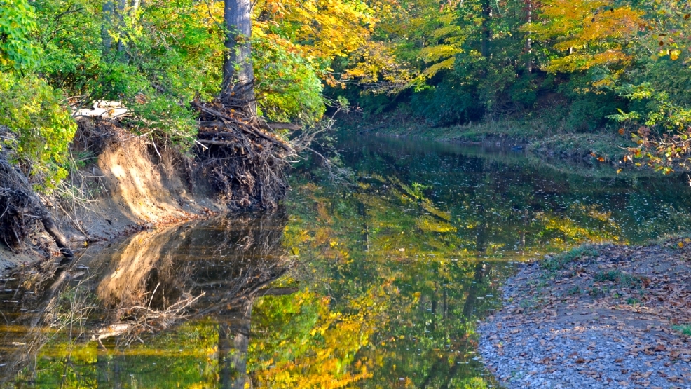 Into the Wild Long Branch Farm & Trails Cincinnati Refined