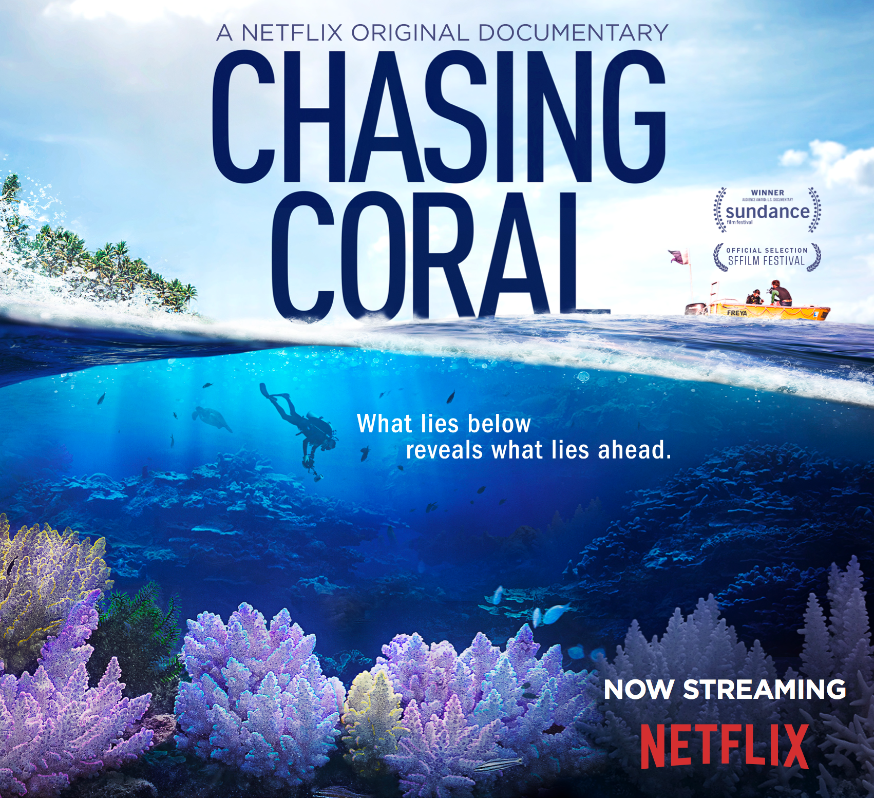 Eco Interviews Episode 2: Interview with Chasing Coral Documentary Creator Jeff ...1702 x 1556