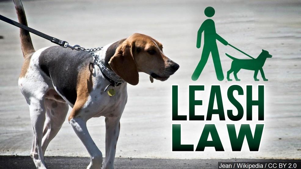 Horry County Leash Laws