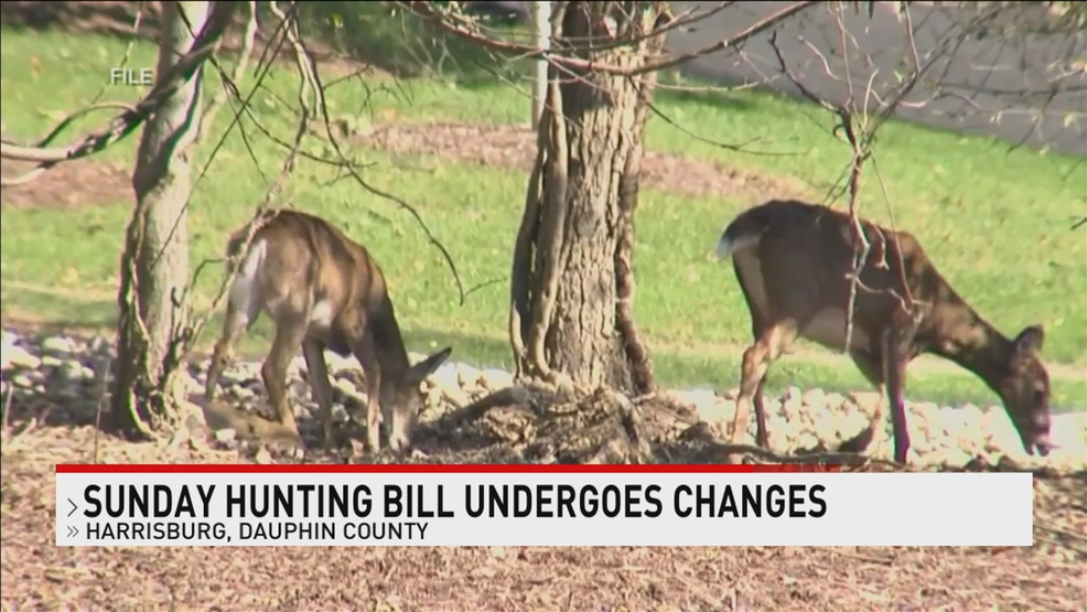 Pennsylvania bill to allow 3 Sunday hunting days altered in state House