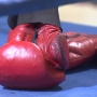 Boxing club prepares for the fight of its life after being told to leave