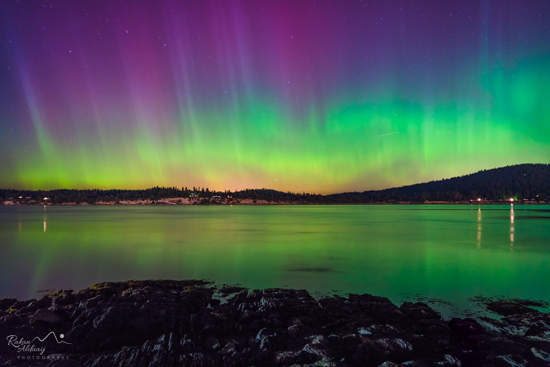 Northern Lights Washington State 2024 Renee Wilhelmina