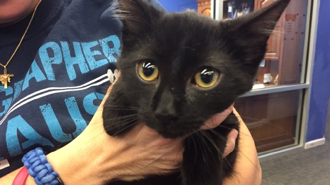 Pet of the Week: Buck 