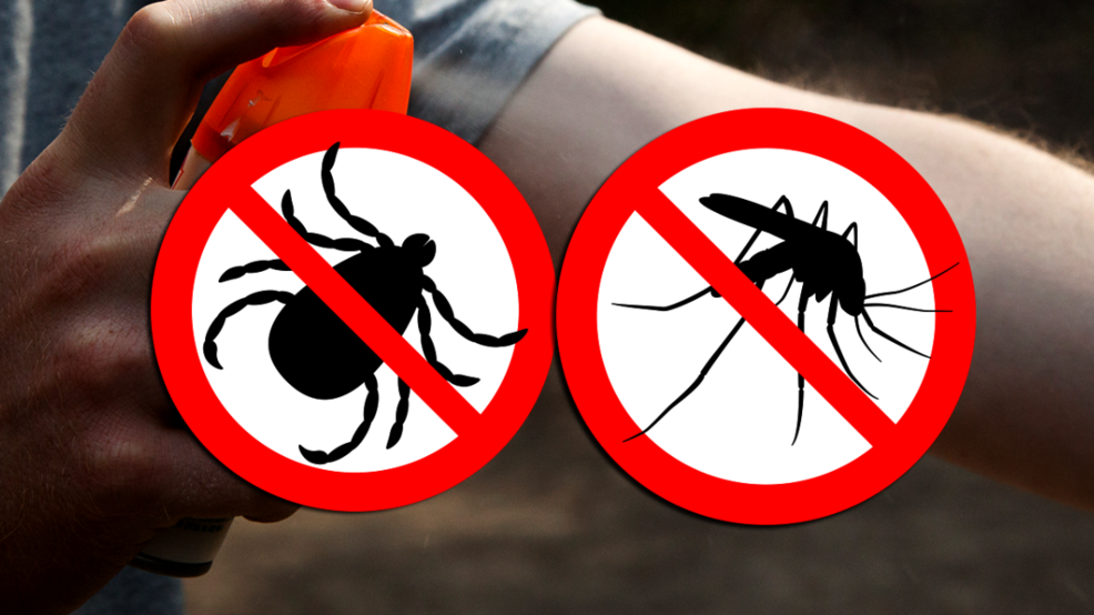 Preventing mosquito & tickborne diseases WSTM