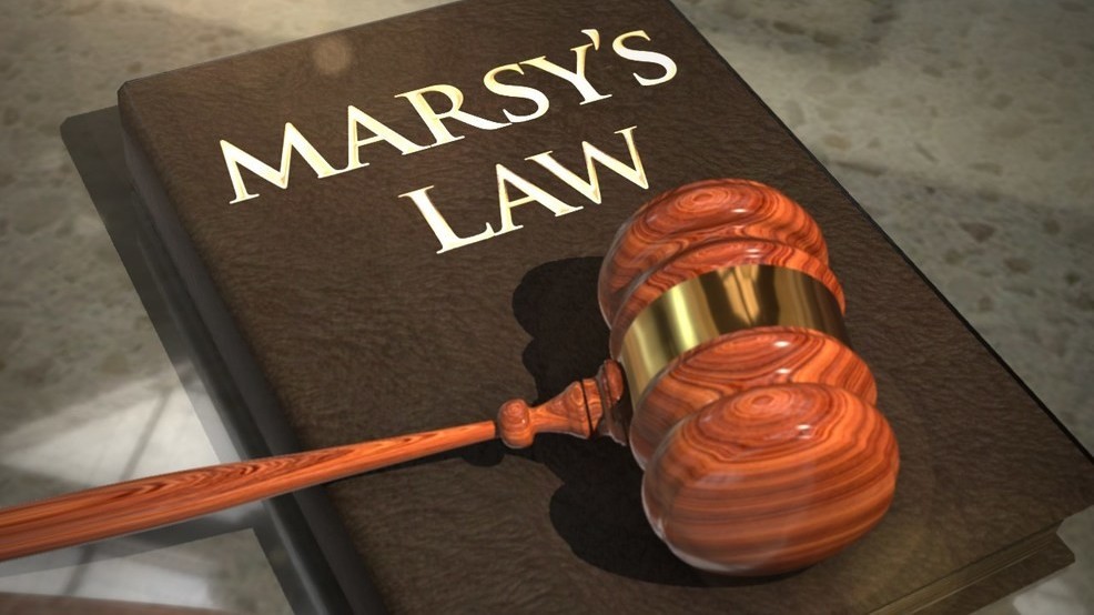 Voters deciding on Marsy's Law, a bill that gives rights to crime