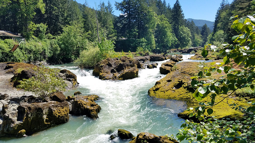 River rushes through rocky banks near Dorena, Oregon KVAL