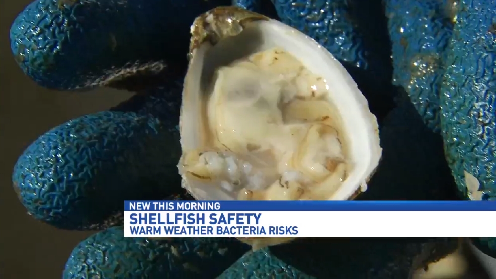Health officials issue warning as shellfish season comes to a close WEAR