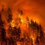 Eagle Creek Fire causes Multnomah County chair to issue emergency declaration 
