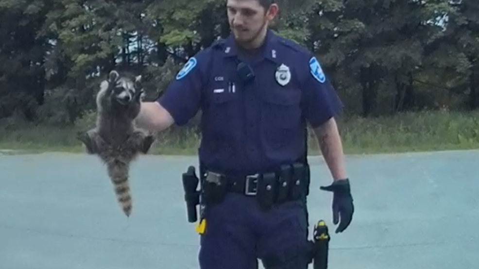 69c25742-eb16-401d-a544-33dda5786ee5-large16x9_Raccoonwhisperer.PNG
