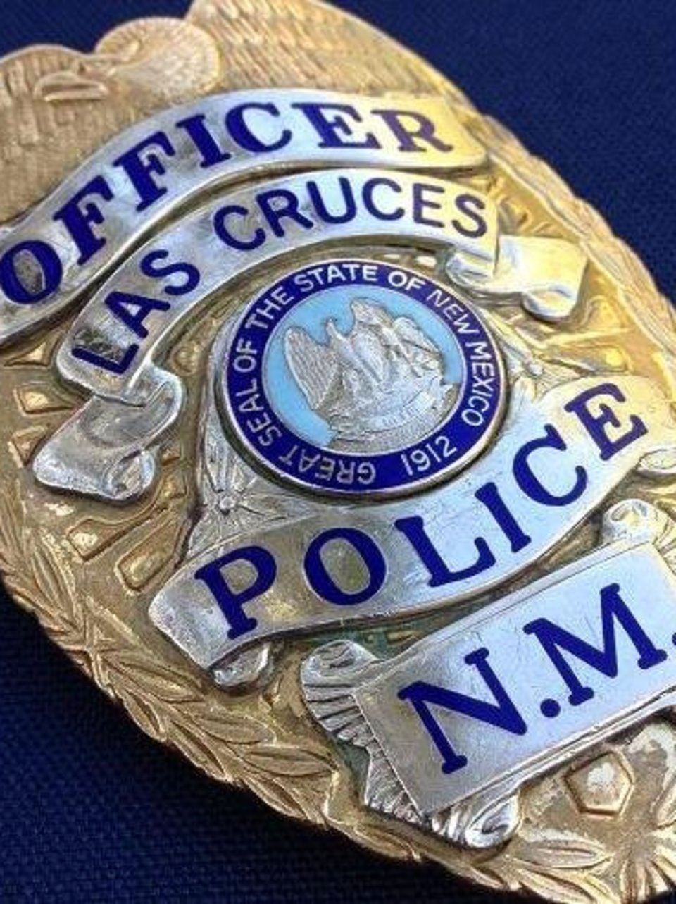 animal shelters las cruces nm on Las Cruces Police Warning Pet Owners To Keep Pets Safely Confined In Yard Kdbc