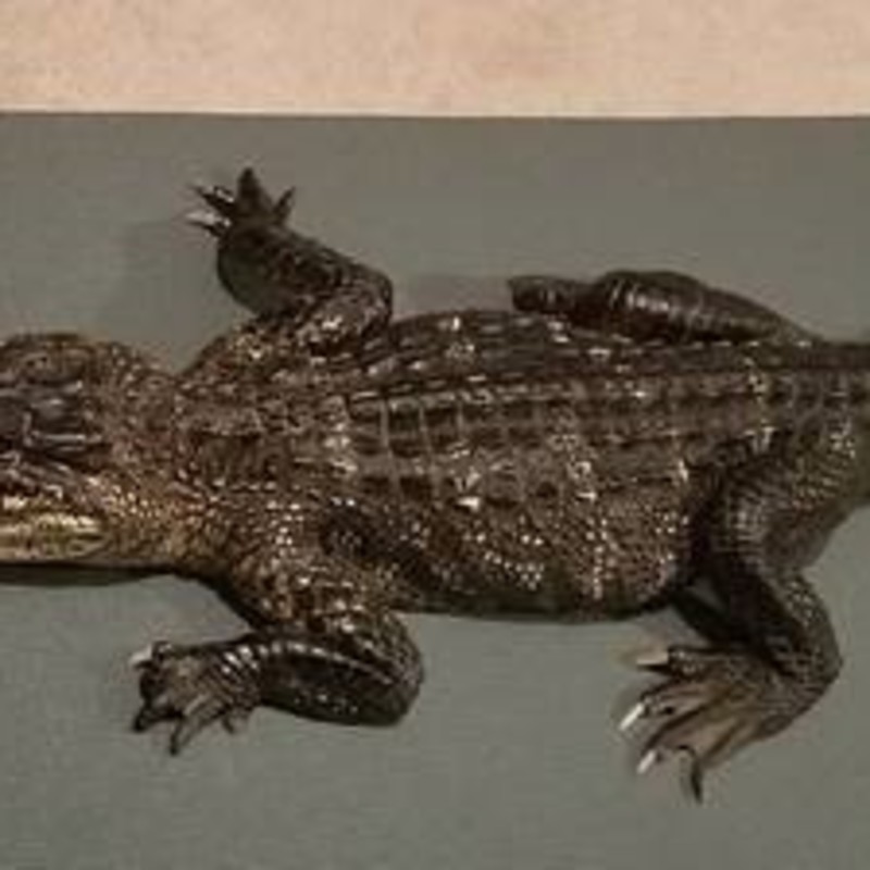 why is a crocodile a reptile and not an amphibian