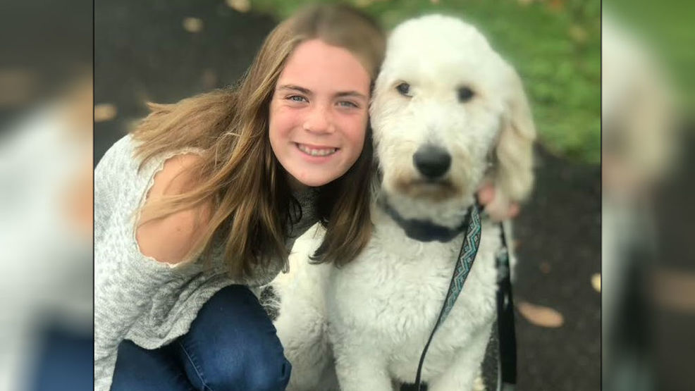 dog series on netflix